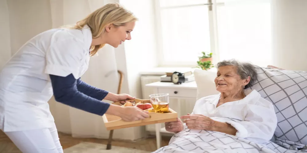 Elderly Care 2